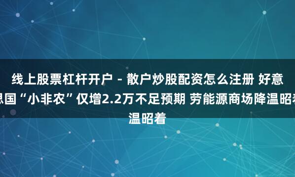线上股票杠杆开户 - 散户炒股配资怎么注册 好意思国“小非农”仅增2.2万不足预期 劳能源商场降温昭着