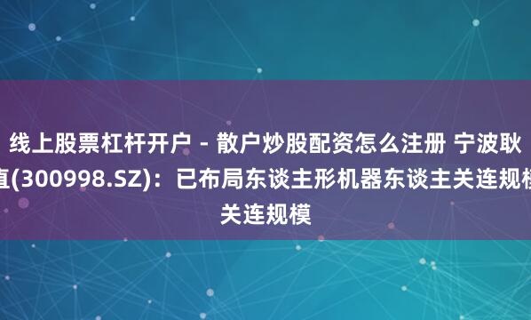 线上股票杠杆开户 - 散户炒股配资怎么注册 宁波耿直(300998.SZ)：已布局东谈主形机器东谈主关连规模